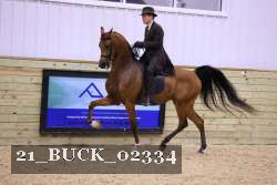 21_BUCK_02334 proof