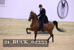 21_BUCK_02335 proof