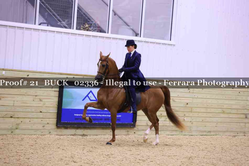 Proof 21_BUCK_02336