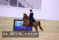 21_BUCK_02336 proof