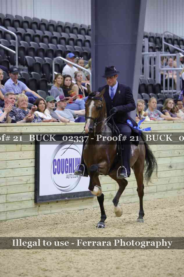 Proof 21_BUCK_02337