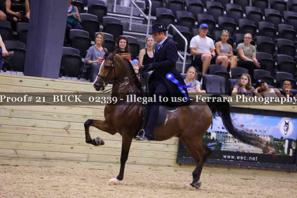 Proof 21_BUCK_02339