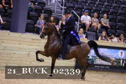 21_BUCK_02339 proof