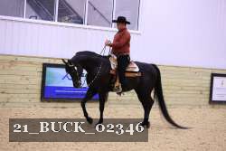 21_BUCK_02346 proof