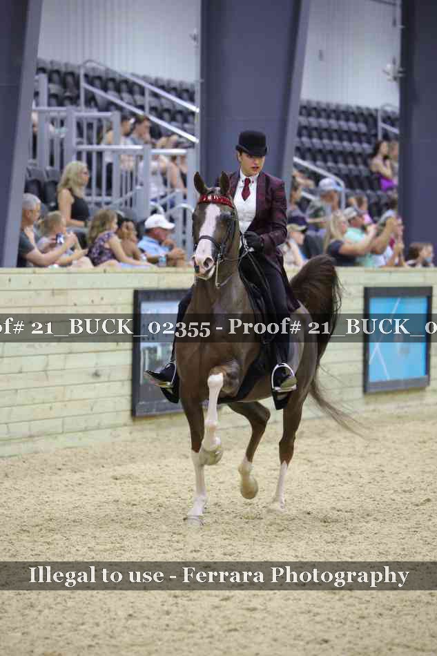 Proof 21_BUCK_02355