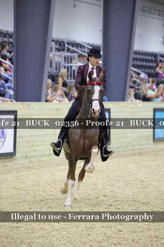 Proof 21_BUCK_02356