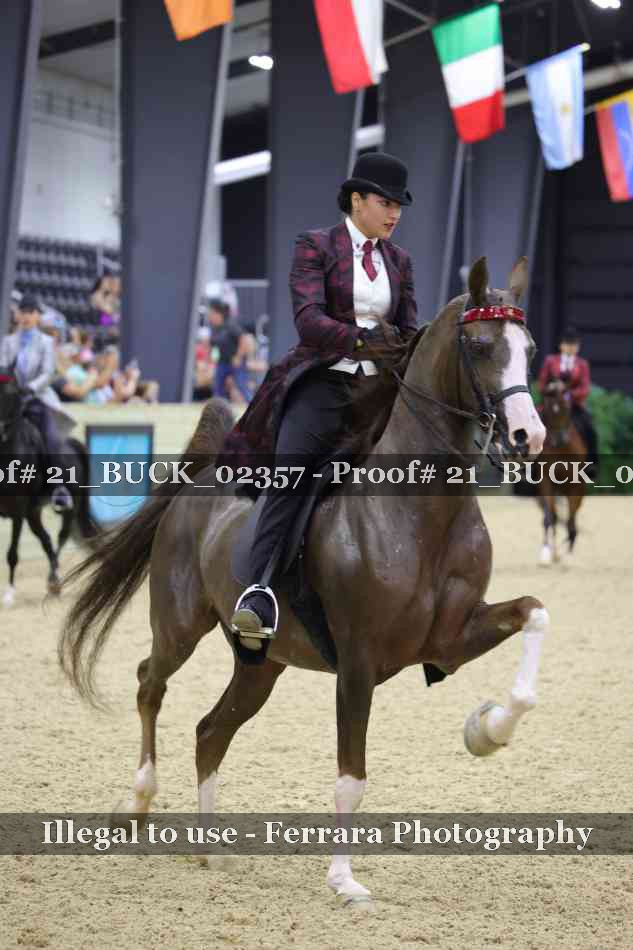 Proof 21_BUCK_02357
