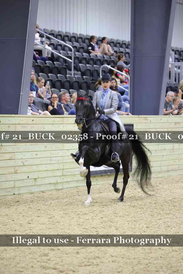 Proof 21_BUCK_02358
