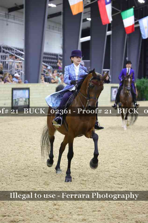 Proof 21_BUCK_02361