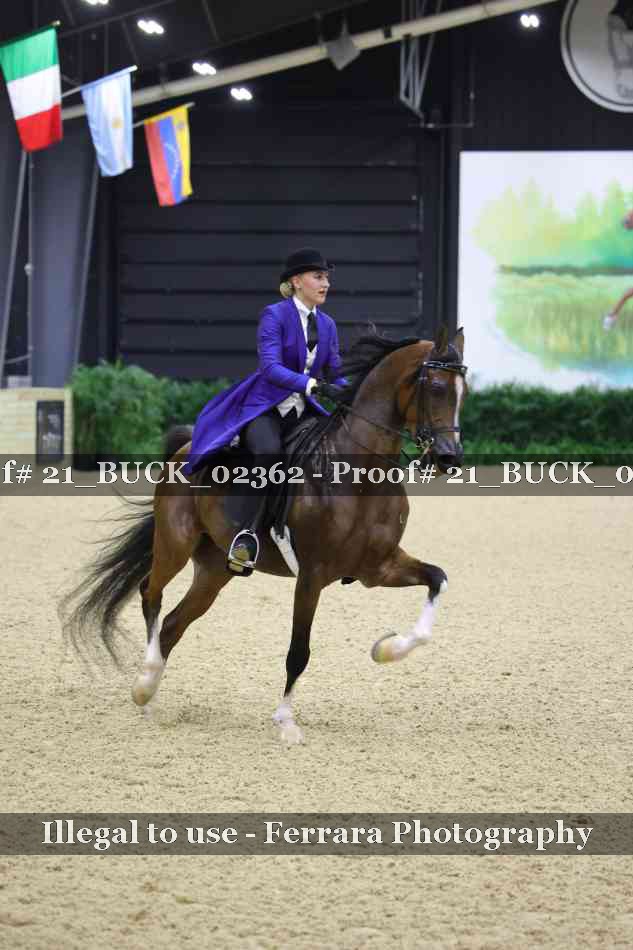 Proof 21_BUCK_02362