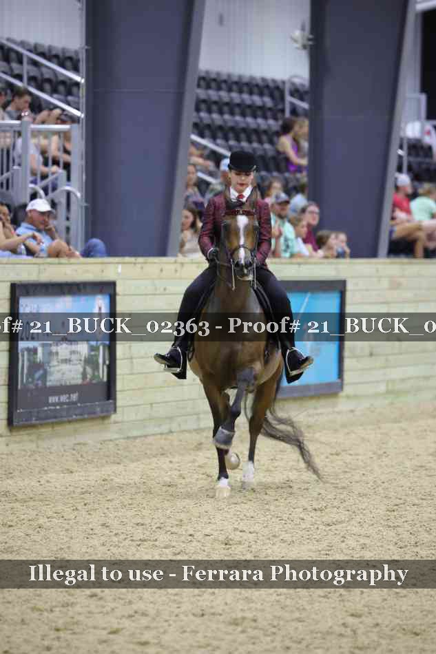 Proof 21_BUCK_02363