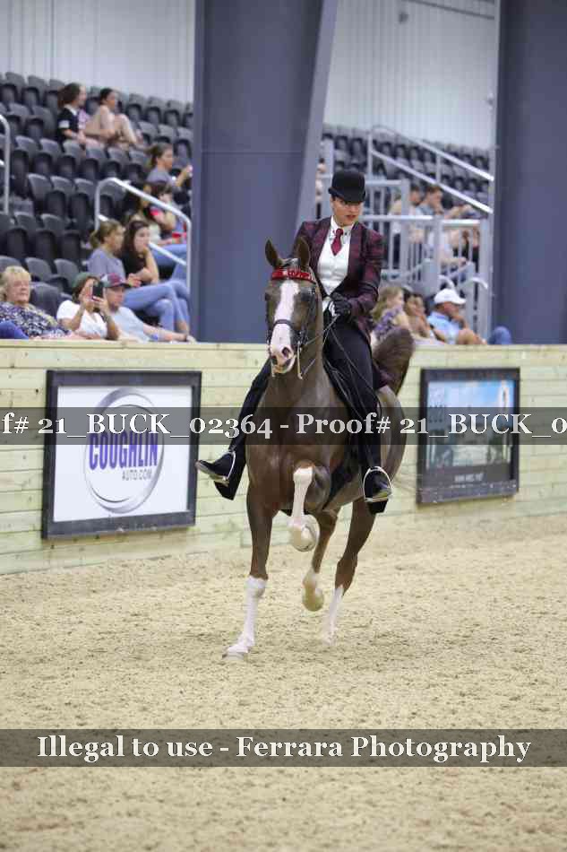 Proof 21_BUCK_02364