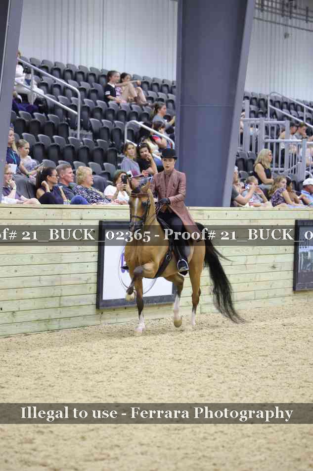 Proof 21_BUCK_02365