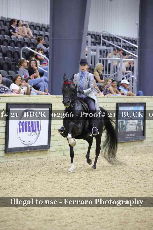Proof 21_BUCK_02366