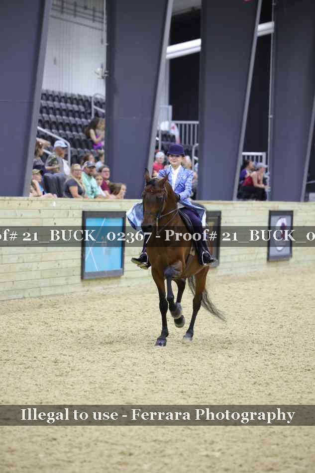 Proof 21_BUCK_02367