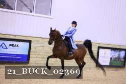21_BUCK_02369 proof