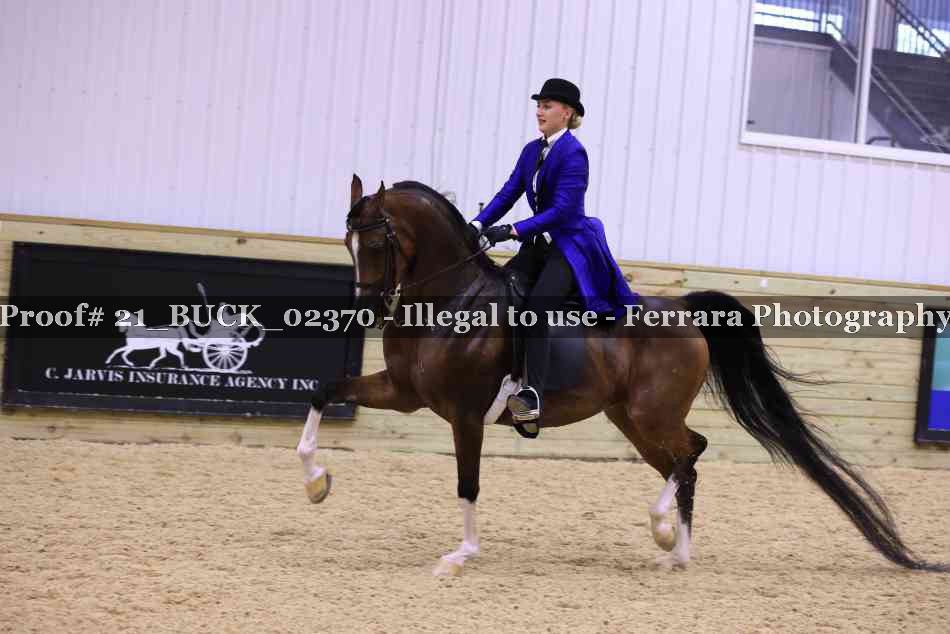 Proof 21_BUCK_02370