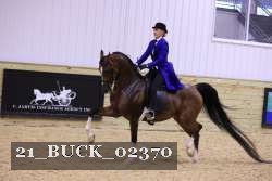 21_BUCK_02370 proof