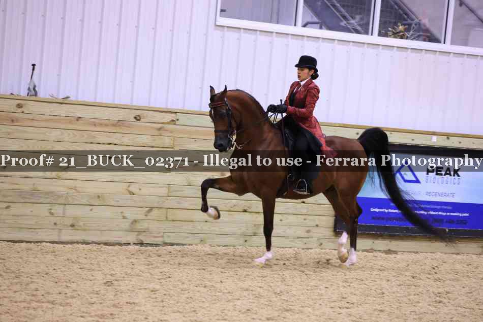 Proof 21_BUCK_02371