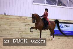 21_BUCK_02371 proof