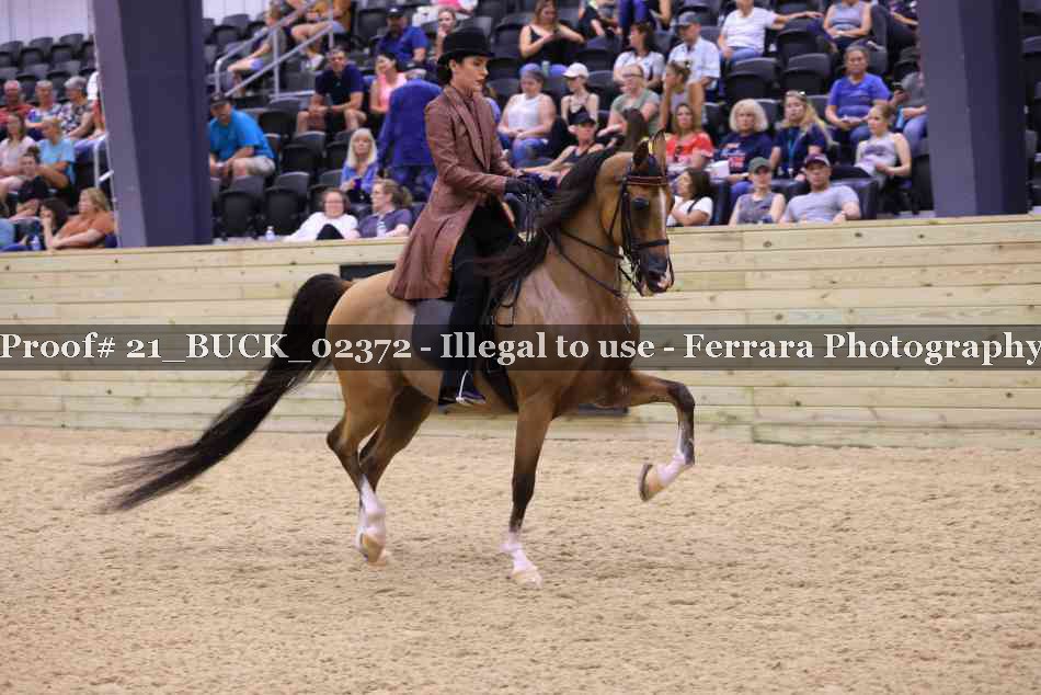 Proof 21_BUCK_02372
