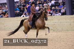21_BUCK_02372 proof
