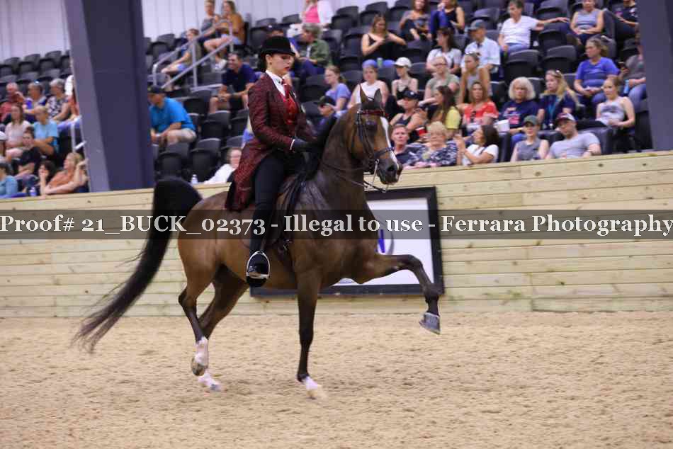 Proof 21_BUCK_02373
