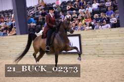 21_BUCK_02373 proof