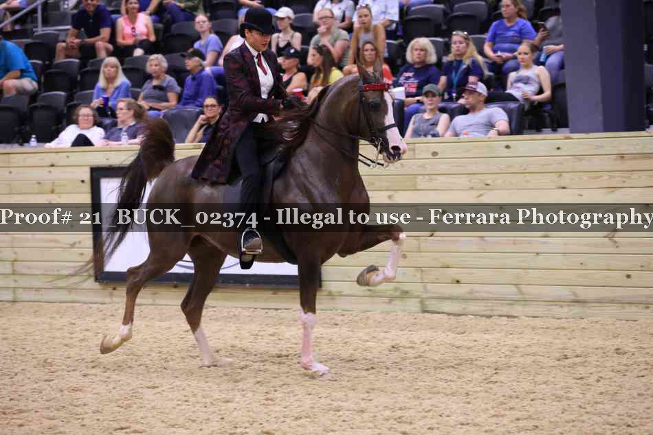 Proof 21_BUCK_02374