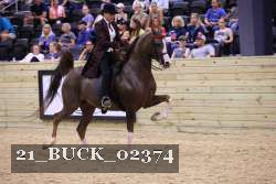 21_BUCK_02374 proof