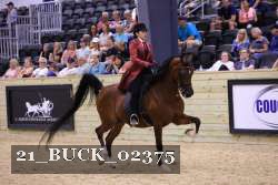 21_BUCK_02375 proof