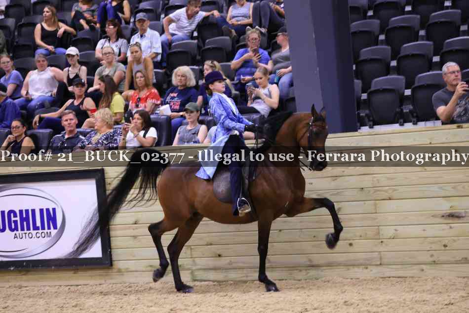 Proof 21_BUCK_02377