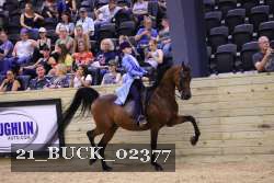 21_BUCK_02377 proof