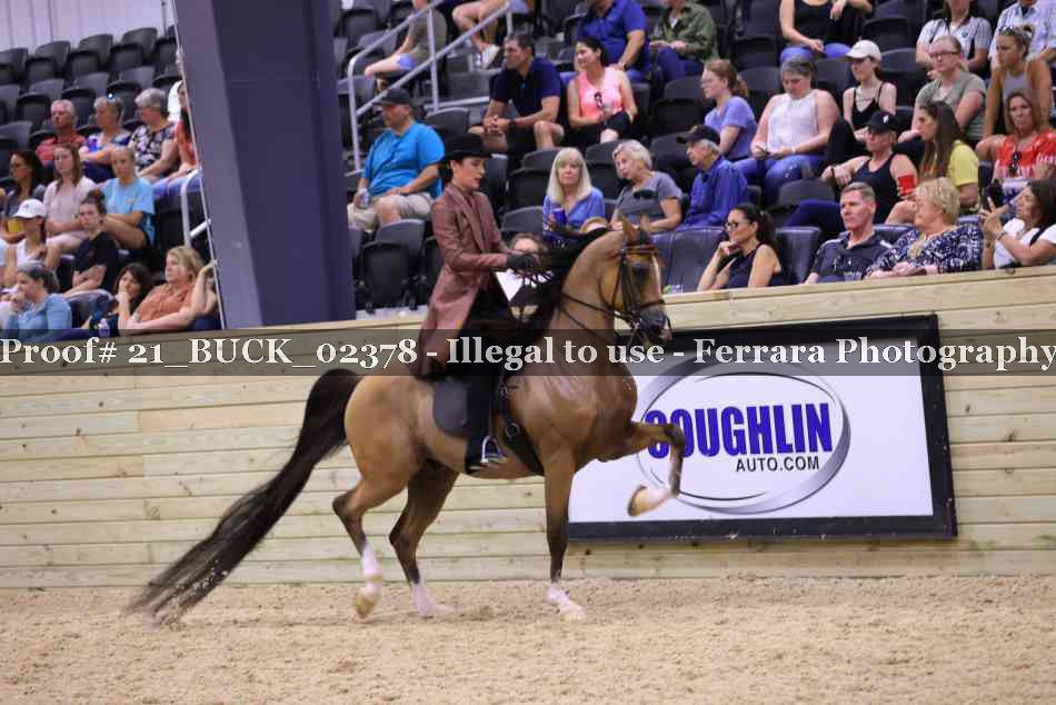 Proof 21_BUCK_02378