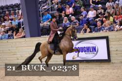 21_BUCK_02378 proof
