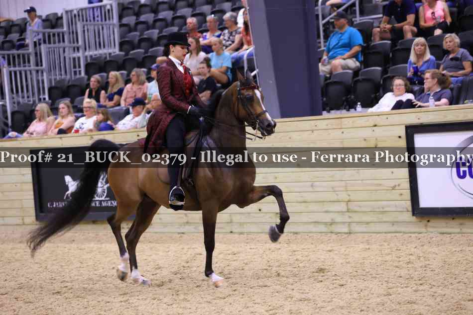 Proof 21_BUCK_02379
