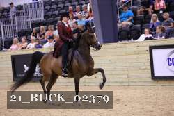 21_BUCK_02379 proof