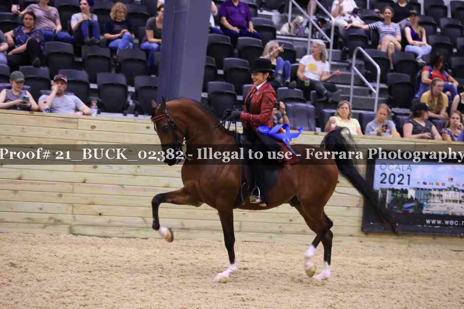 Proof 21_BUCK_02382