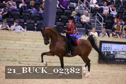 21_BUCK_02382 proof