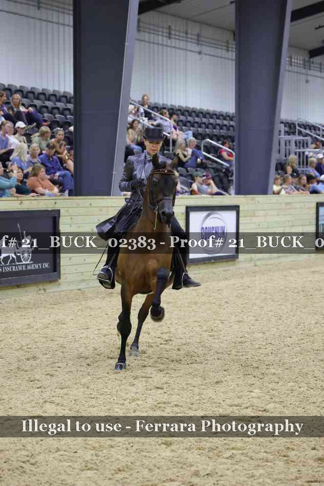Proof 21_BUCK_02383