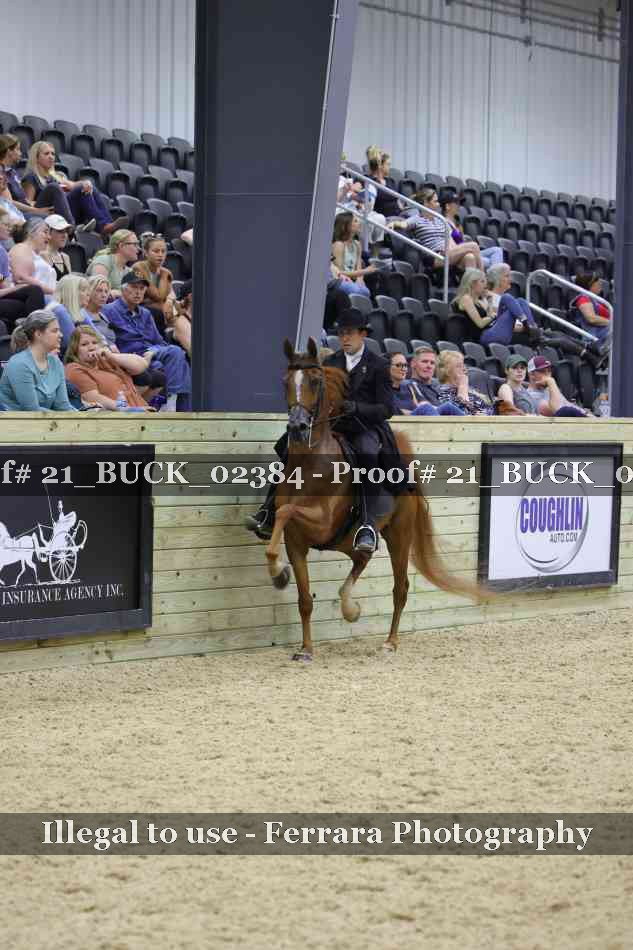 Proof 21_BUCK_02384