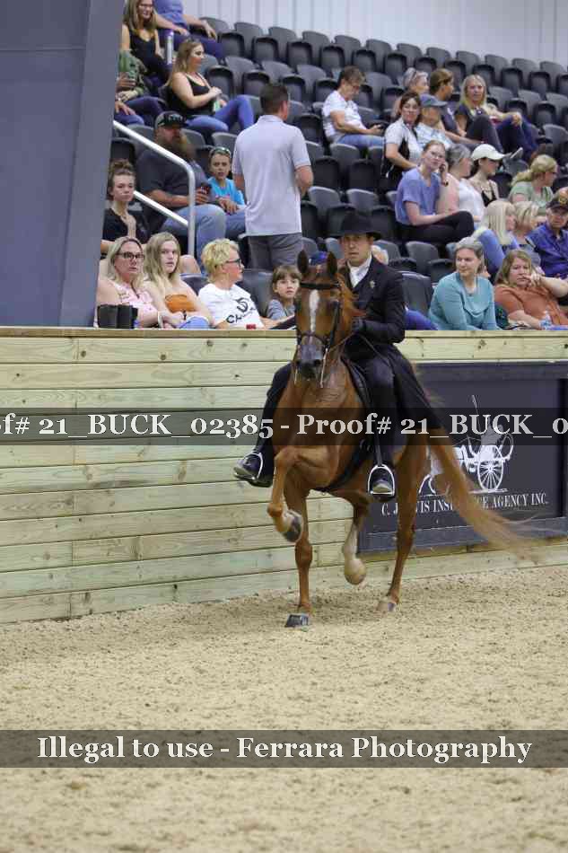 Proof 21_BUCK_02385