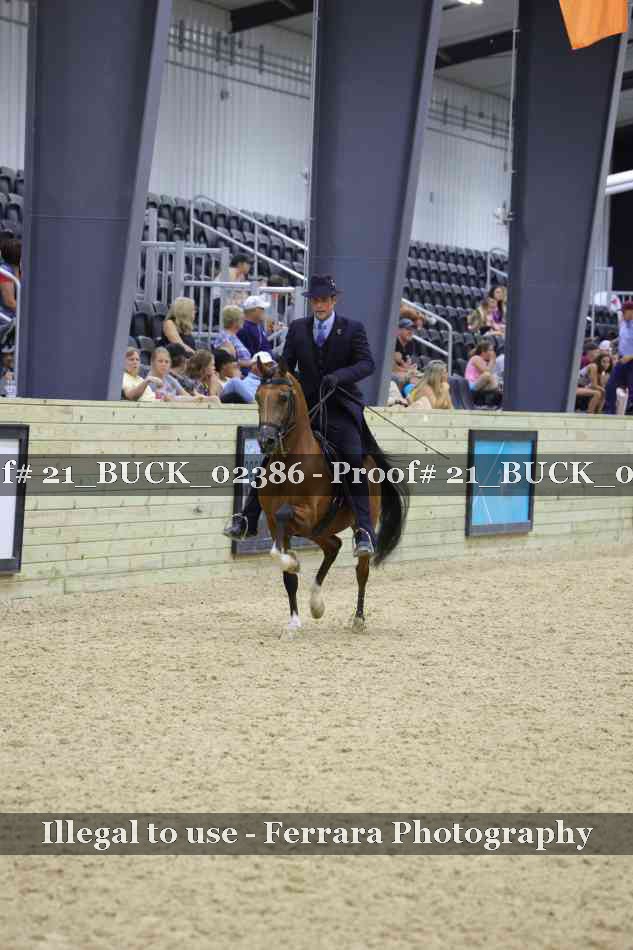Proof 21_BUCK_02386