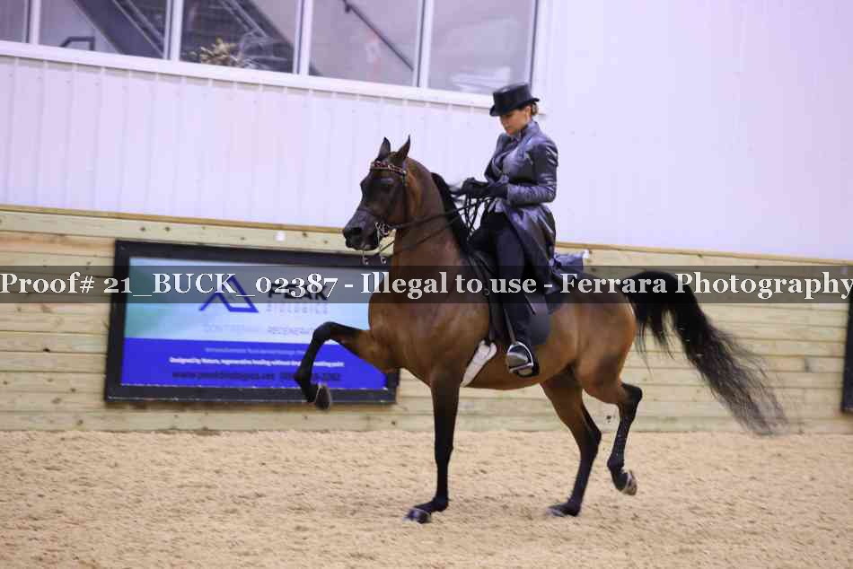 Proof 21_BUCK_02387