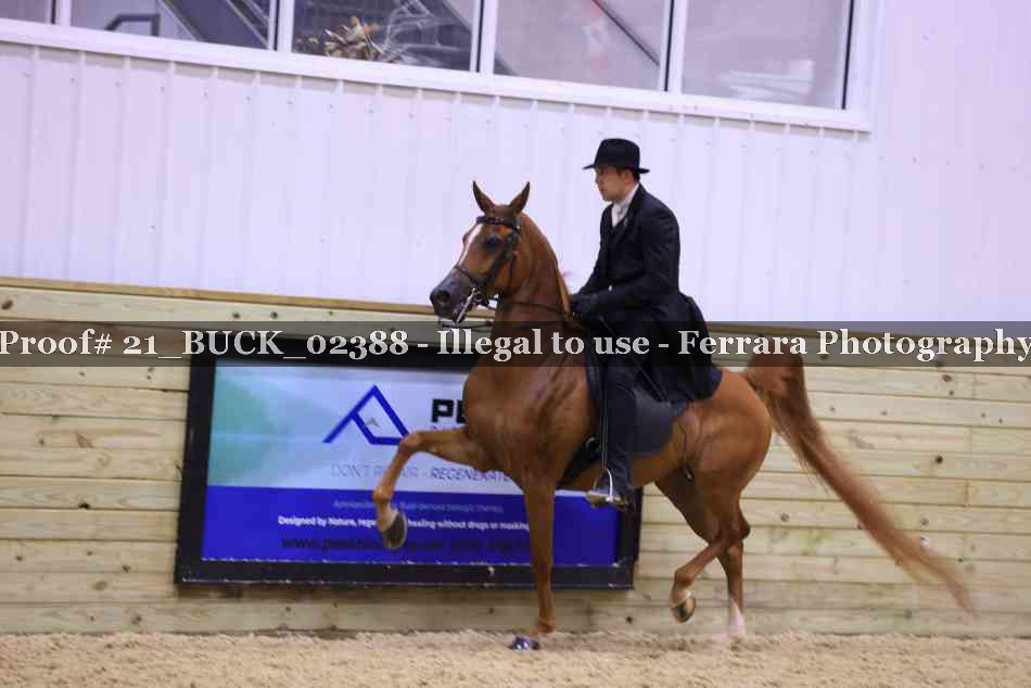 Proof 21_BUCK_02388