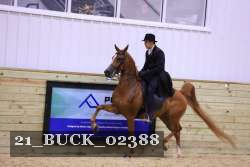 21_BUCK_02388 proof