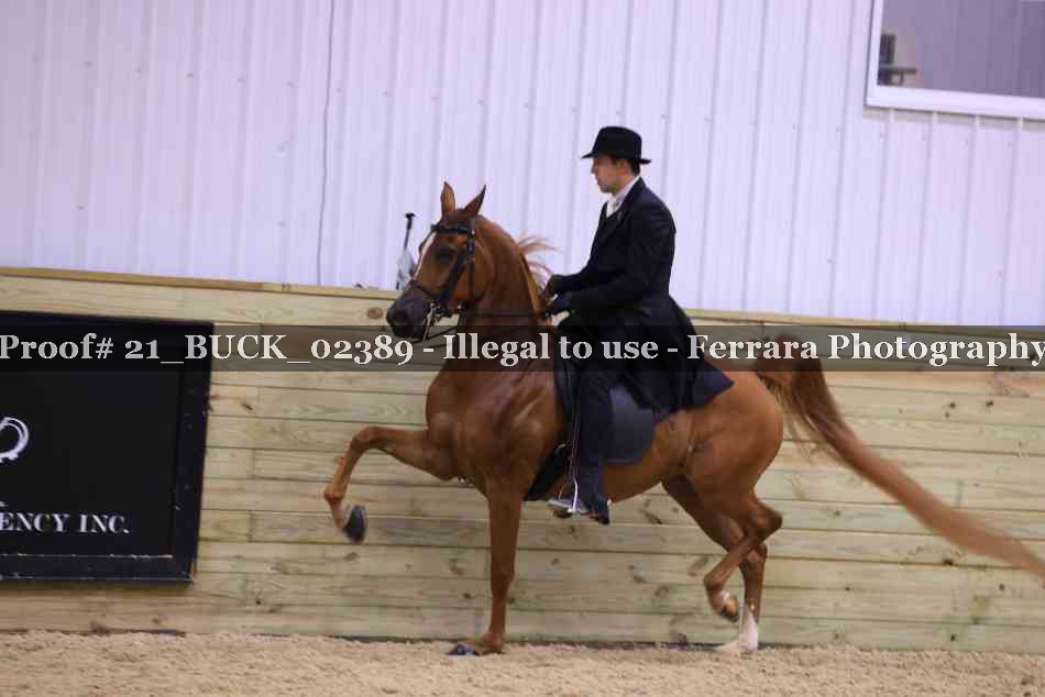 Proof 21_BUCK_02389