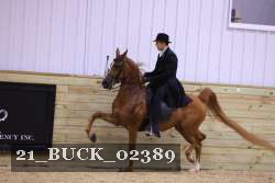 21_BUCK_02389 proof