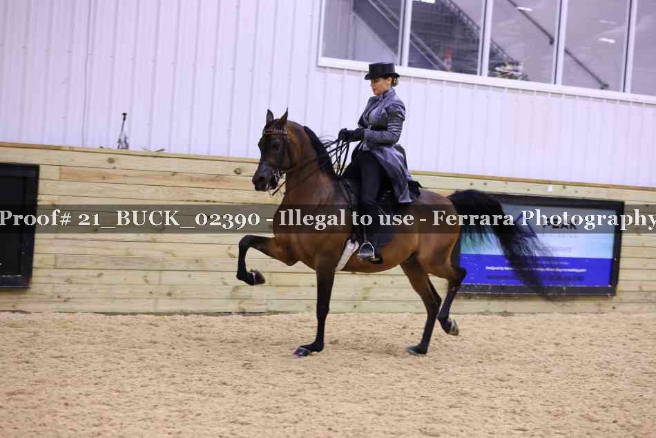 Proof 21_BUCK_02390