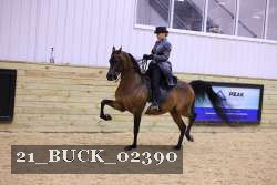 21_BUCK_02390 proof